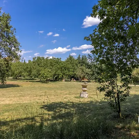 Maison Charmante Pres De Montreuil Bellay Avec Wifi Et Animaux Admis - Fr-1-622-53 Ferienhaus *